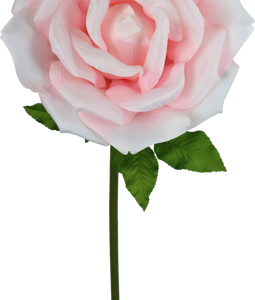 4961 FLEUR GÉANTE ROSE